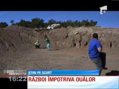 Iată în câte moduri poţi sparge un ou!