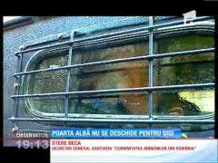 UPDATE! Gigi Becali rămâne la Poarta Albă