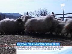 Vindem străinilor materie primă ieftină şi importăm la preţuri de top