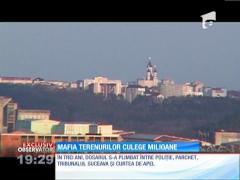 Mafia terenurilor din Şcheia