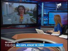 Fetiţă de doi ani, muşcată de faţă de un câine