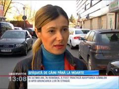 Observator 13 Weekend