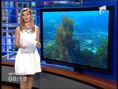 Muzeul subacvatic din Marea Neagră