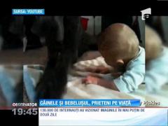 Dragostea dintre un copil şi un câine face înconjurul lumii, pe internet