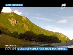 O cameră video a fost miere pentru urși!