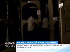 Cramele Cricova, mândria Republicii Moldovei, atrag tot mai mulţi turişti străini