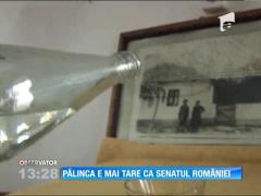 Pălinca, pe cale de dispariţie