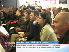 Austriecii îi preferă pe români pentru munca în agricultură