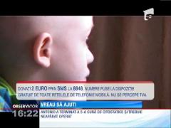 Observator 16 Weekend