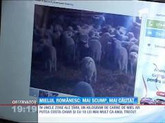 Observator de weekend