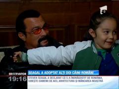 Seagal a adoptat alți doi câini români