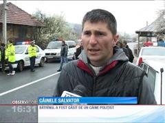 Un bătrân rătăcit din Ţicleni a fost salvat de un căine