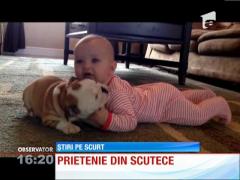 Un bebeluş şi un pui de bulldog fac senzaţie pe internet