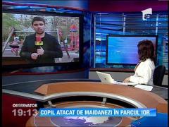 UPDATE / Un copil de 7 ani a fost muşcat de câini în parcul IOR din Capitală