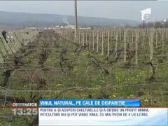 Vinul natural, pe cale de dispariţie