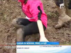 Cursă cu noroiul până în gât  în Pădurea Mogoşoaia