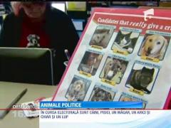 Inedit! În SUA şi animalele sunt... politice