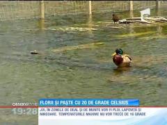 Prognoza meteo pentru Paște!