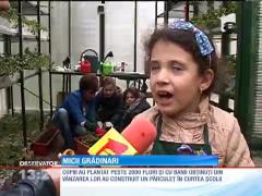 Elevii de la o şcoală din Piteşti au amenajat o seră cu flori