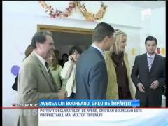 Căsnicia de şapte ani s-a încheiat! Acum, urmează bătaia pe averea lui Boureanu