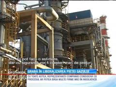 Grabă în liberalizarea pieţei gazului