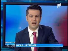 Micile luptătoare de judo
