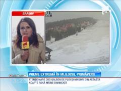 ATENŢIE! Cod GALBEN de ninsori şi ploi în 12 judeţe