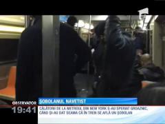 Călătorii cu metroul din New York, speriaţi de un şobolan