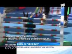 Cursa iepurașilor din Praga