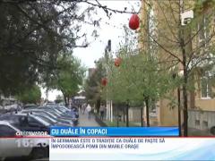 Copacii din centrul oraşului Mizil au fost împodobiţi cu ouă roşii