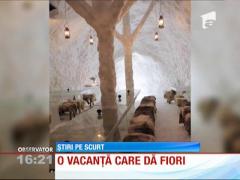 Hotelul în care temperatura nu depăşeşte niciodată zero grade