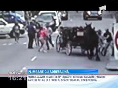 Câţiva americani au trăit un adevărat coşmar după o plimbare cu trăsura