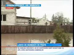 Zeci de gospodării din judetul Prahova au fost inundate în urma ploilor torenţiale