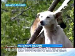 Update: Codul roşu a fost prelungit până luni. Alte judeţe vor fi afectate