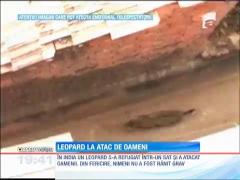 IMAGINI ȘOCANTE! Oameni atacați de un leopard într-un sat din India