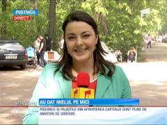 Pădurile și pajiștile din apropierea Capitalei sunt pline de amatori de grătare