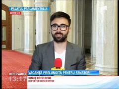 Vacanţă prelungită pentru senatori