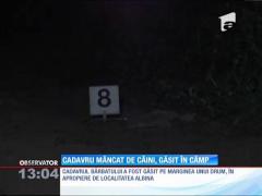 Cadavrul unui bărbat, devorat de animale, în localitatea Albina