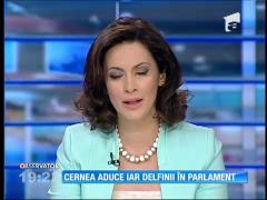 Remus Cernea vrea drepturi pentru delfini