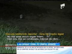 Bărbat de 52 de ani, mâncat de viu de câini!