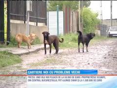 Problemele ascunse ale cartierelor de locuințe noi