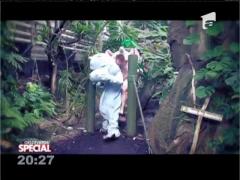 Special! "Tarzan" de la grădină zoologică
