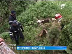 Câine salvat dintr-un canal