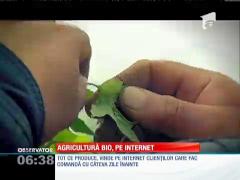 Agricultură bio, pe internet