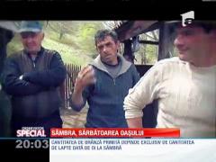 SPECIAL! Sâmbra Oilor, sărbătoare din Țara Oaşului