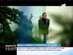 Gigi Becali s-a prezentat în sacou, în cea de-a doua zi de muncă la Academia lui Hagi