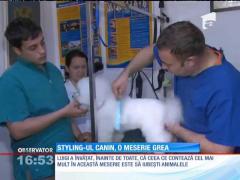 Styling-ul canin, o meserie grea, dar de viitor în România