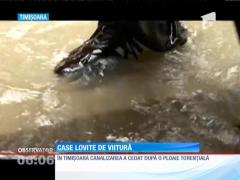 O ploaie torenţială a inundat un cartier din Bocşa