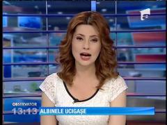 O familie din Prahova a fost înțepată de albine