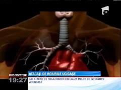 IMAGINI ȘOCANTE! Albinele au băgat spaima într-o localitate din Vaslui și 7 oameni în spital!
